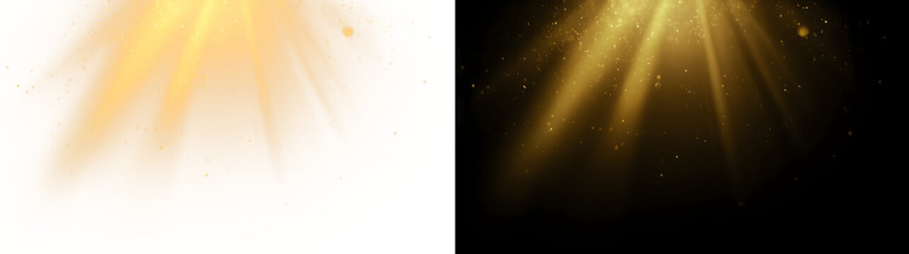 Soft golden sun rays spotlight with floating dust particles, transparent PNG overlay