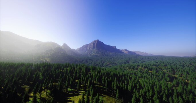 aerial forest expanse leading to jagged summit. expansive birdeye viewpoint shows dense conifer rows, sunlit clearings, and mountain horizon, perfect for drone