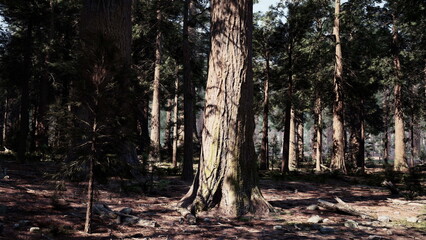 Moody forest scene with strong contrast and deep shadows, rugged bark textures and silhouetted trunks create cinematic tension, atmospheric undergrowth