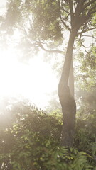 Solitary tree trunk glowing with light, symbol of resilience and growth, close focus on bark texture and root stability amid quiet clearing