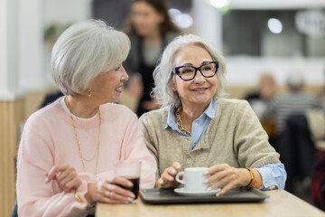 Senior women in cafe has nice conversation and discusses news of day
