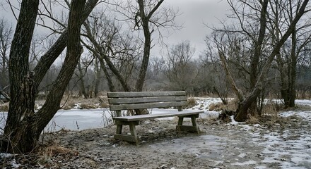 Empty park bench within a dormant winter landscape under soft overcast light, highlighting subtle texture details and a contemplative mood, minimal composition with realistic natural lighting