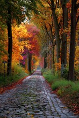 Obraz premium Cobblestone path through vibrant autumn trees ablaze with color