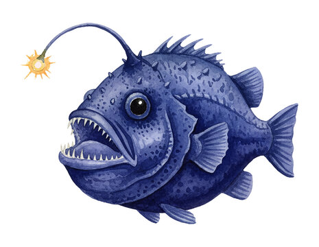 Deep sea blue anglerfish with glowing lure and menacing open mouth showing sharp teeth in a detailed illustration