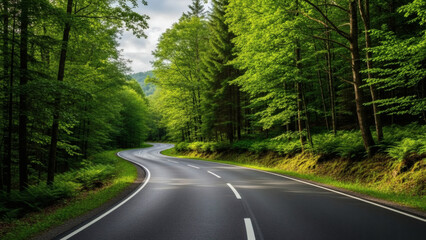 Obraz premium Winding Road Through Lush Green Forest with Trees and Grass