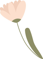 Flower Stem With Leaf Cartoon