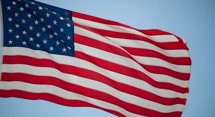 Fototapeta premium Celebrating national freedom day under the american flag on february 1st every year