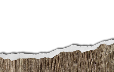 blank old wood door with vignette texture background. scratched grunge vintage. wood abstract background