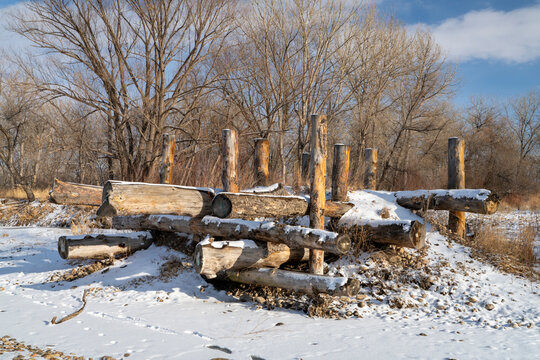 log erosion control structure on a shore of the Poudre River in Fort Collins, Colorado in winter scenery