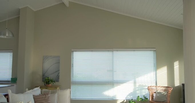 Camera is pulling back and tilting down to reveal large window with blinds and green mat