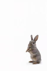 Obraz premium 縦画像向け白背景素材、グレーの子うさぎ全身を立ち姿で表現したかわいい動物デザイン.生成AI