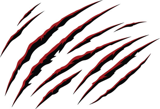 Sharp Claw Marks Illustration Design Element Featuring Animal Tracks