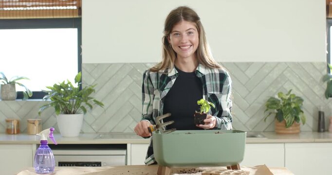 Adult woman holding cultivator and seedling, repotting into green planter in kitchen for plant care