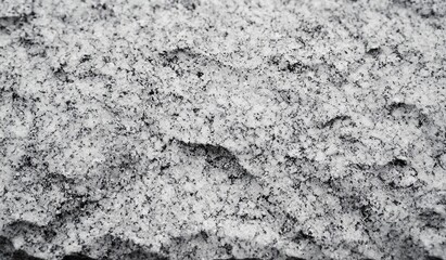 close-up of granular fresh snow with speckled dark flecks and cold quiet textured surface evoking stillness