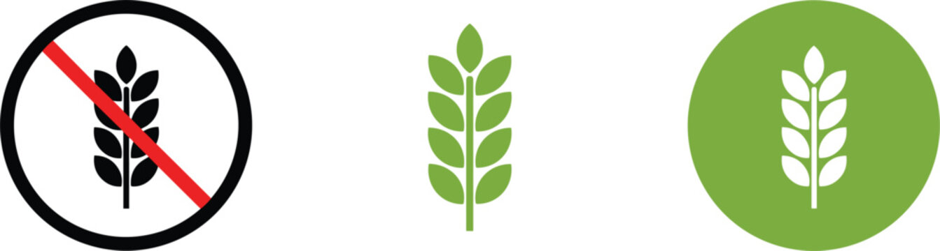 Gluten free and wheat grain icons set showing no gluten symbol healthy food diet labeling