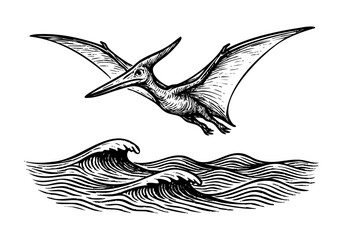 Pterodactyl hand drawn simple sketch vector illustration © Shutoda