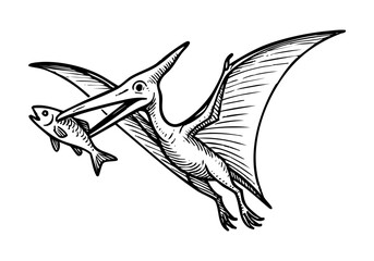 Pterodactyl hand drawn simple sketch vector illustration © Shutoda