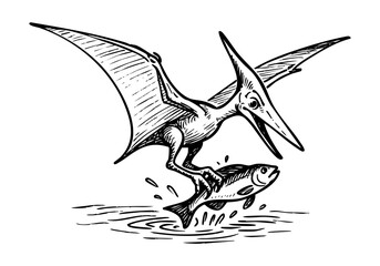 Pterodactyl hand drawn simple sketch vector illustration © Shutoda