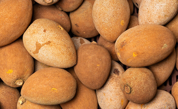 Fresh mamey sapote (Pouteria sapota) in the foreground, ripe tropical fruits displayed together, ideal for market, agriculture, and natural food concepts.