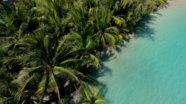 Discover the serene beauty of Koh Kood as crystal-clear waters lap against sandy shores, surrounded by vibrant palm trees. This idyllic destination promises a perfect escape into nature in Thailand.