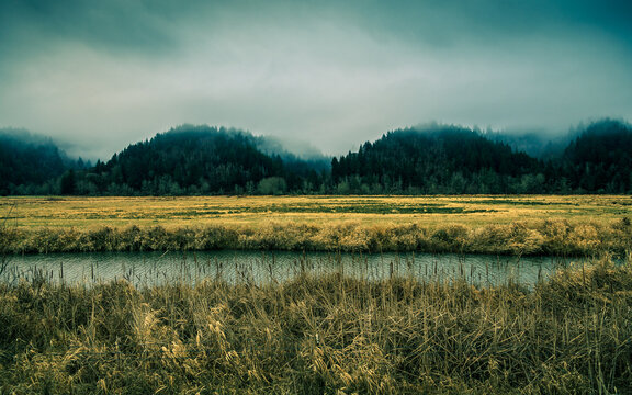 The River