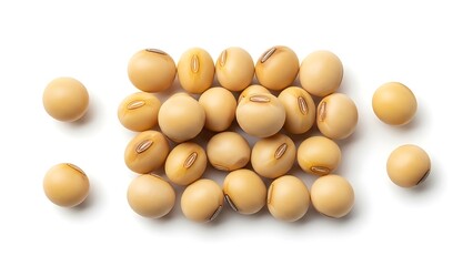A close up view of several light brown soybeans scattered on a plain white surface isolated for clarity