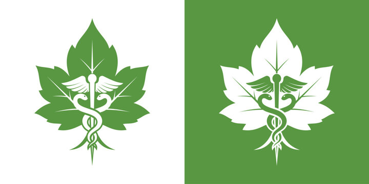 vector marijuana leaf logo, marijuana and healing logo. marijuana and medical logo design vector illustration