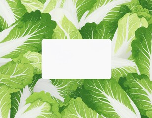 白菜のプライスカード