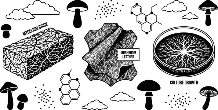 Sustainable mycelium brick and mushroom leather vector illustration