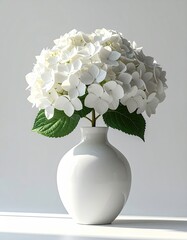 White hydrangea in a white vase on a bright background
