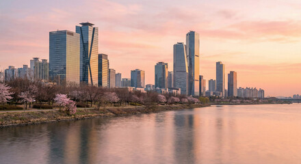 Obraz premium Beautiful city skyline with skyscrapers and river during sunset in spring, featuring blooming pink cherry blossom trees along the bank.