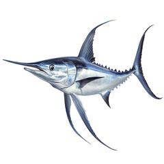 Naklejka premium Swordfish feeding Uses its bill to slash at schools of fish or catch prey. full length isolate on transparent background