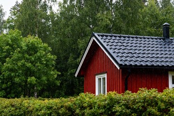 Fototapeta premium Red wooden house in forest