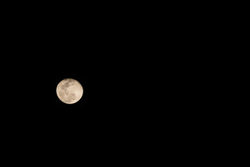 Horizontal photo of full moon. Moon with nice soft yellow color. Visible craters on the edge of space body. The bright and light areas on surface are clearly visible. Space around is black. © Dontree