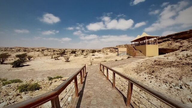 Wadi Dawkah&rsquo;s frankincense trees, Wadi Dawkah&rsquo;s contribution to Omani bution to Omani heritage, culture, and biodiversity was recognised by UNESCO.