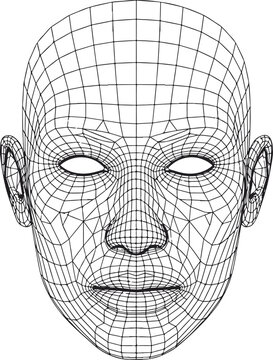 3D Wireframe Human Head Model