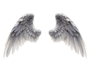 High Detail Realistic White Angel Wings Isolated on Transparent Background Representing Freedom, Purity, and Divine Protection