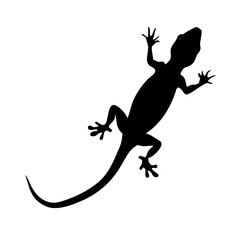 Obraz premium Lizard Gecko Silhouette Vector – Tropical Reptile Icon for Nature and Exotic Pet Design