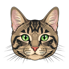 A cartoon illustration of a cat's head (1)