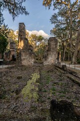 Fototapeta premium Bulow Plantation Ruins Historic State Park, Florida 
