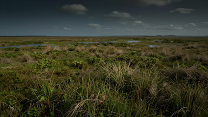 Flooded Marshlands at Sunset