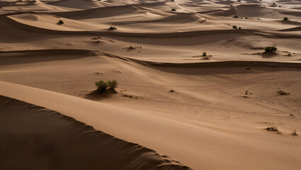 Desert Landscape with Slight Tone