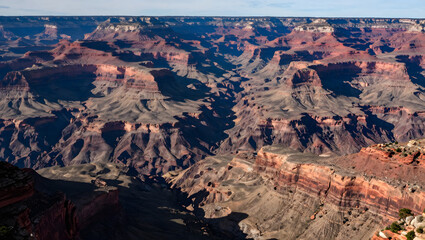 Desert Landscape in Arizona