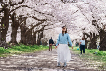 Fototapeta premium Woman tourist sightseeing Kitakami Tenshochi Park with Sakura Cherry Blossom in Spring, traveler travel in Kitakami festival, Iwate prefecture, Japan. Landmark for Travel and Vacation destination