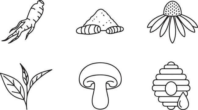 Herbal Ingredients Icon Set: Ginseng, Turmeric, Echinacea, Tea, Mushroom, Beehive Isolated on white background