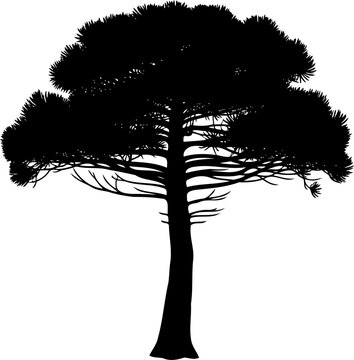 Flat topped stone pine tree silhouette