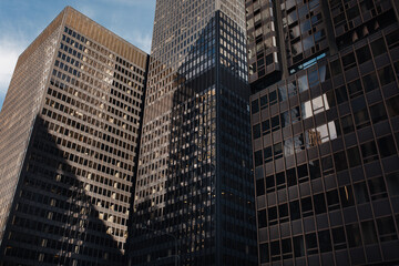 Obraz premium A lot of windows on modern buildings. Brown skyscrapers close up.