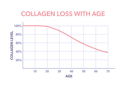 Collagen loss chart in human skin across different ages. Concept illustration of age related collagen reduction in skin layers.