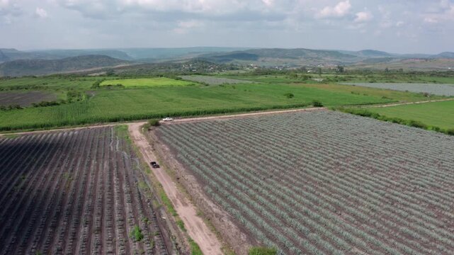Drone aerial over crop fields and a dirt road with a pickup truck, showing patterned rows across a green valley with hills under a cloudy sky.