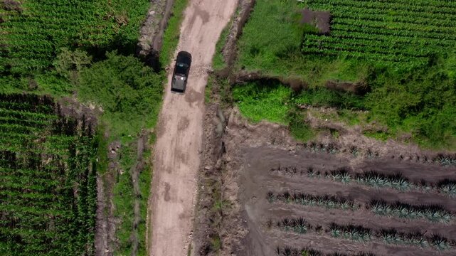 Top-down drone shot of a pickup truck driving on a dirt road between green crop fields and agave plantations, showing rural agriculture patterns in daylight.